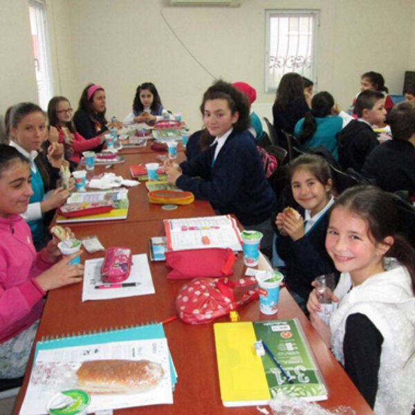 Eğitim İçin Gönüllü Destek Programı