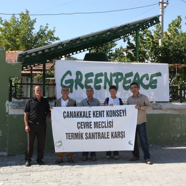 Çevre Meclisi Yırca’ya destekteydi