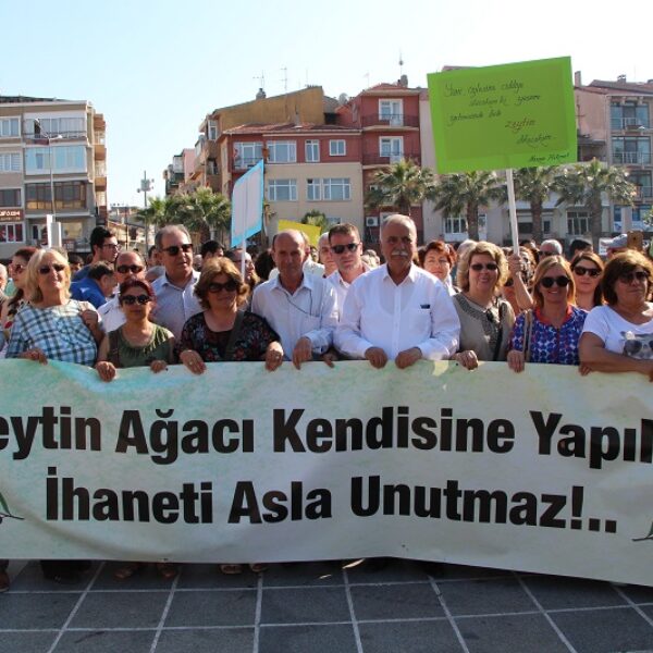 Çanakkale Zeytinine Sahip Çıktı